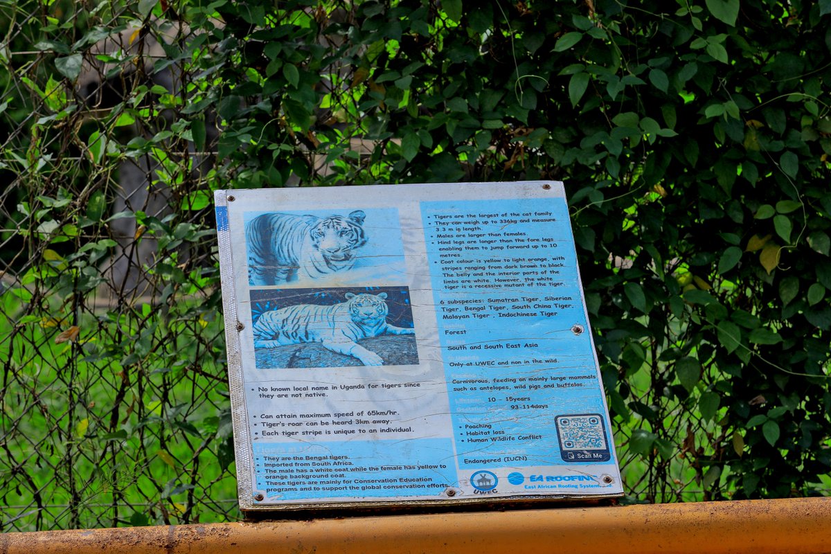 Nazah Events Tours and Travel tweet media