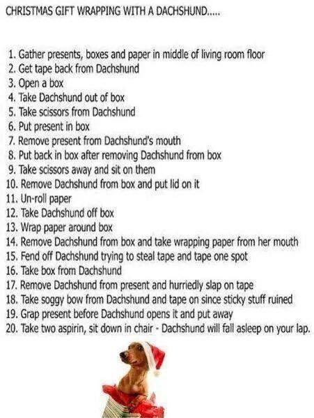 K9BackPack's tweet image. 🤣🐾❤️🐾🤣