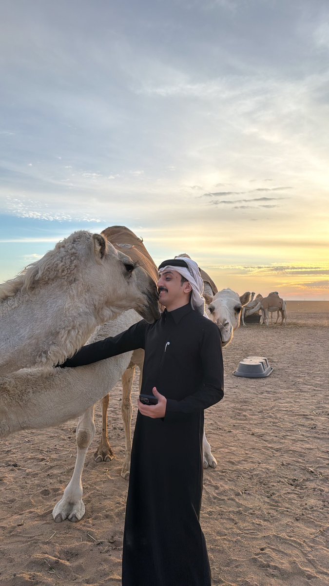 نواف بن منصور tweet media