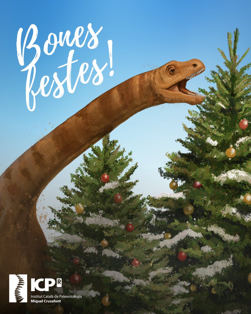 Institut Català de Paleontologia Miquel Crusafont tweet media