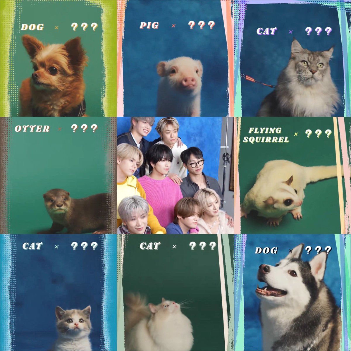 いぬ2人ねこ3人いるwwwwww こういうのって普通 被らないようにする