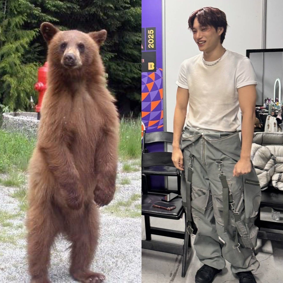 🍂ฅ‾᷄ ⁻̫ ‾᷅ joNgBros wOrLd ʕ·͡ᴥ·ʔฅ✩ tweet media