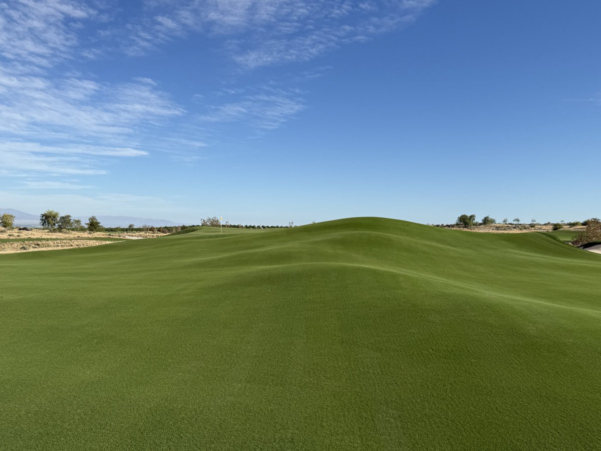 Rick Golfs tweet media