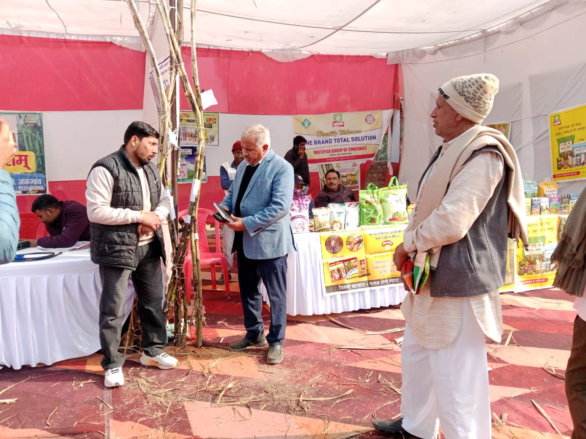 Colk16202 and cos 18231