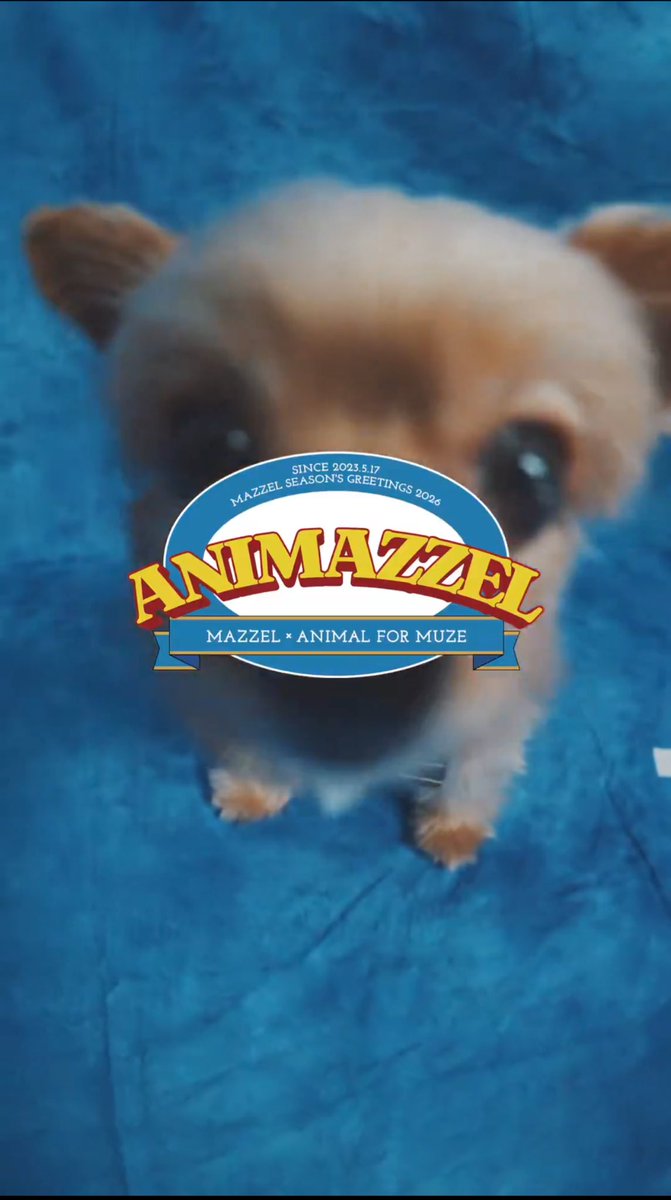 MAZZEL×ANIMAL FOR MUZEって🫠 コンセプトが可愛いすぎる😍 #ANIMAZZEL