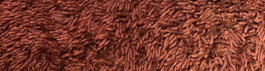 mputste's tweet image. hayied, masukk ga bestt #zonauang