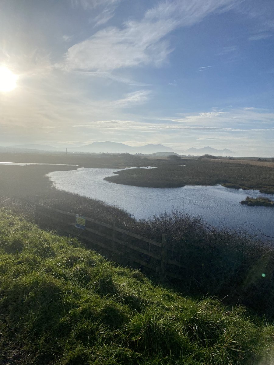 Marcus W tweet media