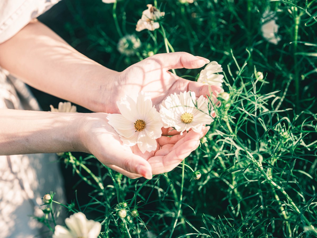 lilhym_'s tweet image. FUJIFILMで撮る休日