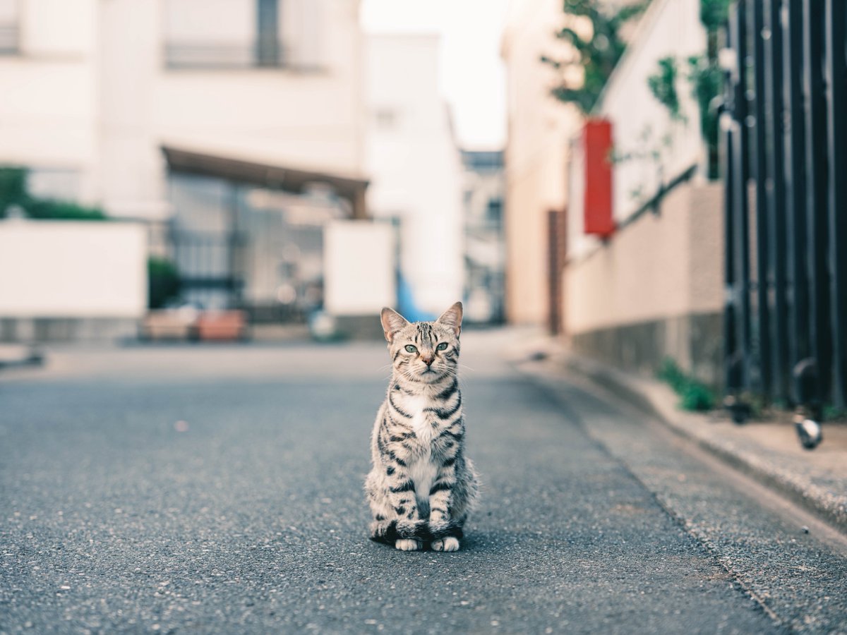 lilhym_'s tweet image. FUJIFILMで撮る休日