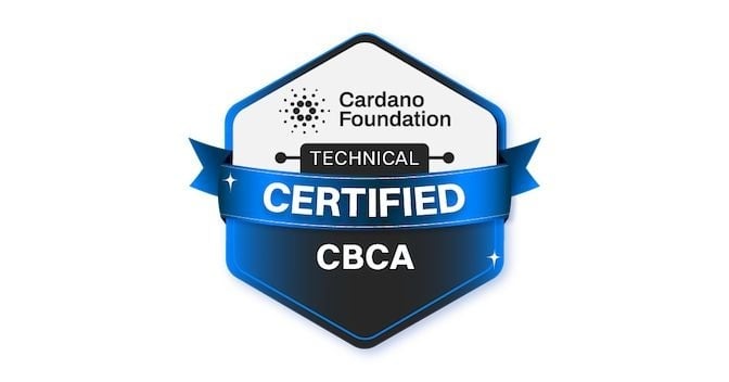 Cardano_CF's tweet image. Think you understand Cardano? Prove it. 🛡️

The Cardano Blockchain Certified Associate course in the Cardano Academy lets you certify your knowledge with a credential backed by the Cardano Foundation.

Take the course today: go.cardanofoundation.org/4plyR9D