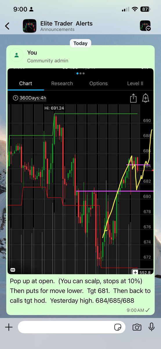 $spy. Morning plan.