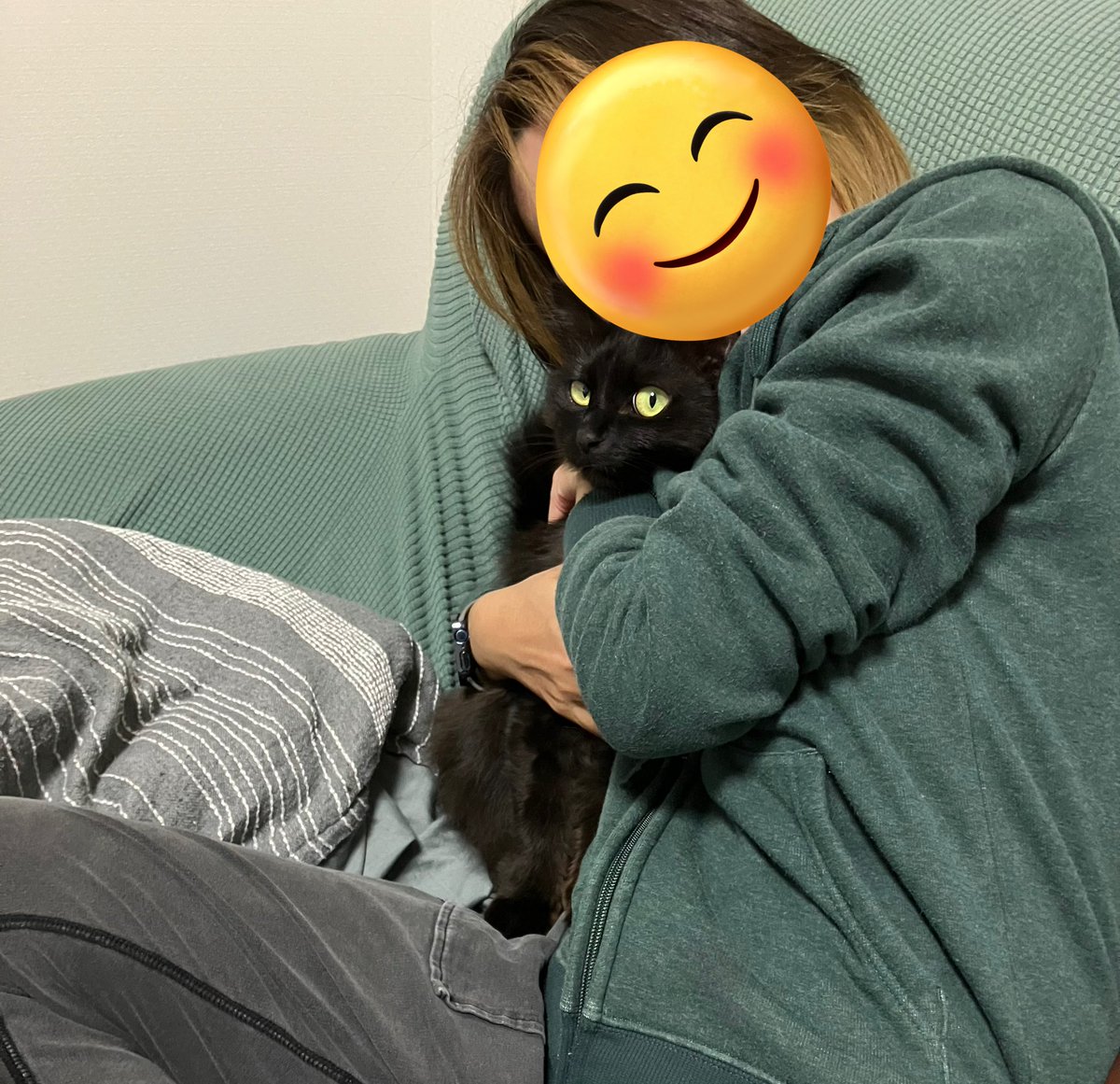 オレンジ (@norunrabbit) / Posts / X