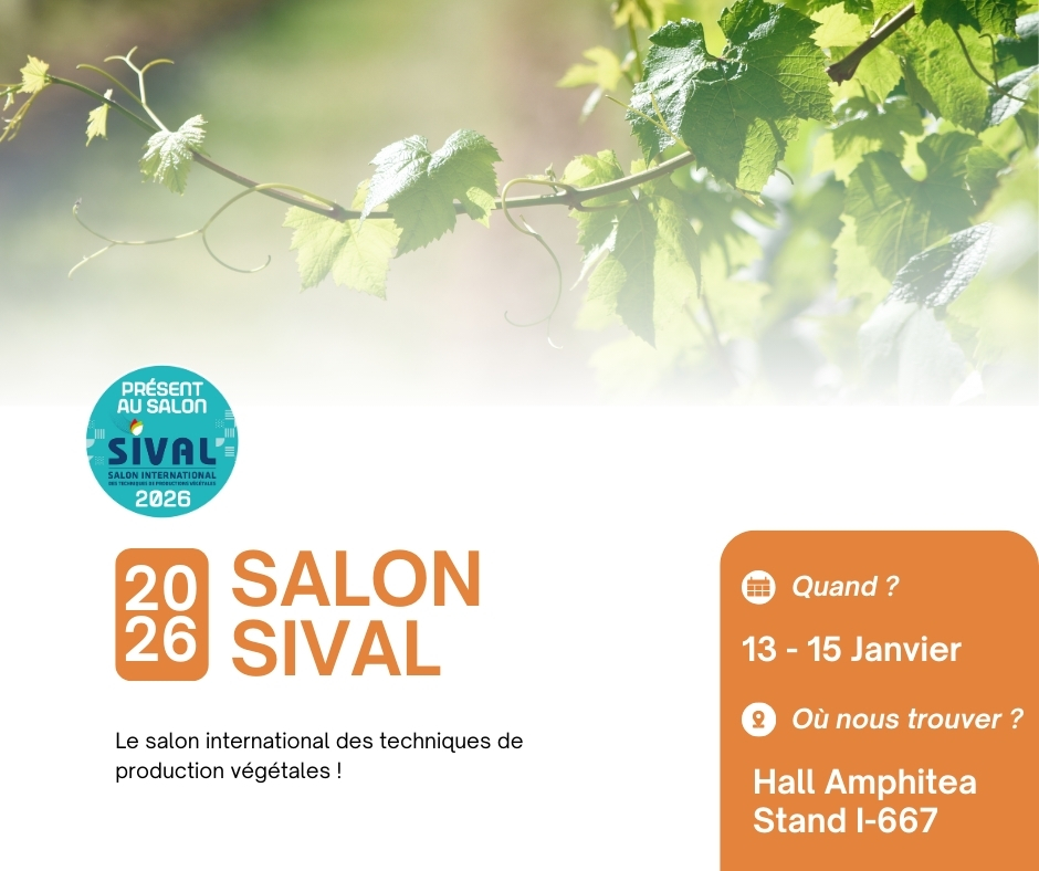 Process2Wine tweet media