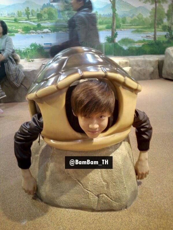 got7oldpics's tweet image. 