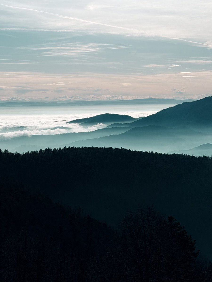 Hugo Clément tweet media