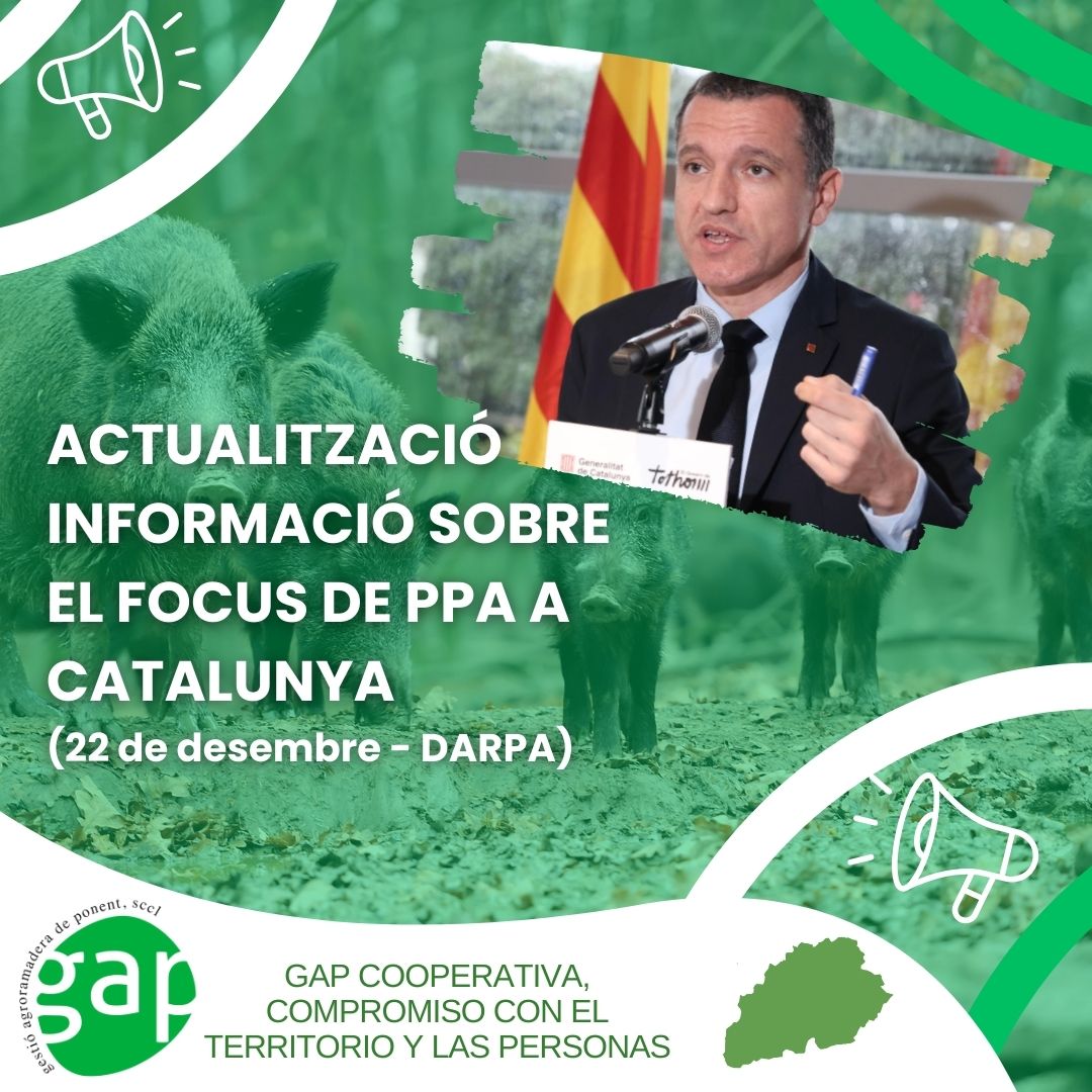 GAP Cooperativa tweet media