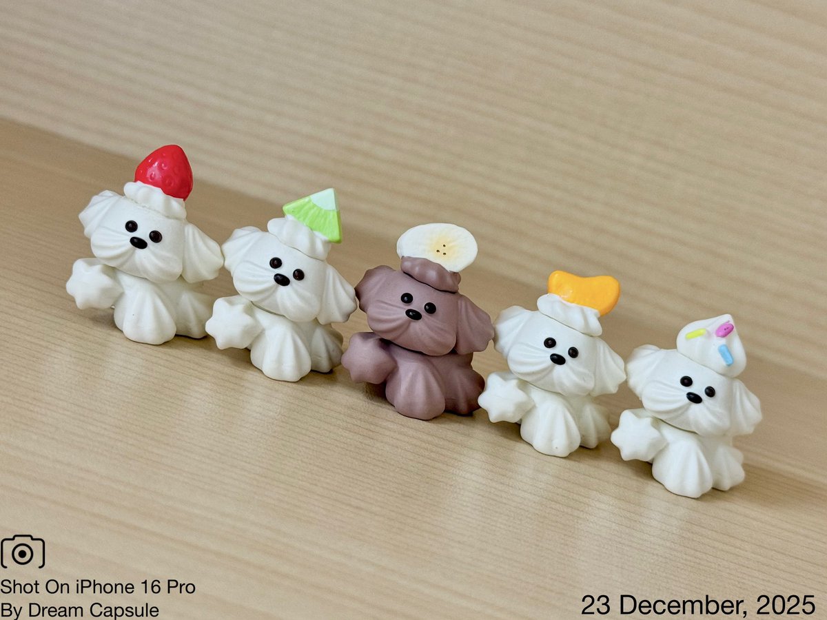 しぇいこん (@jyugonwife) / Posts / X