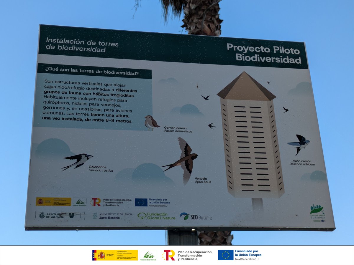 València Verda tweet media