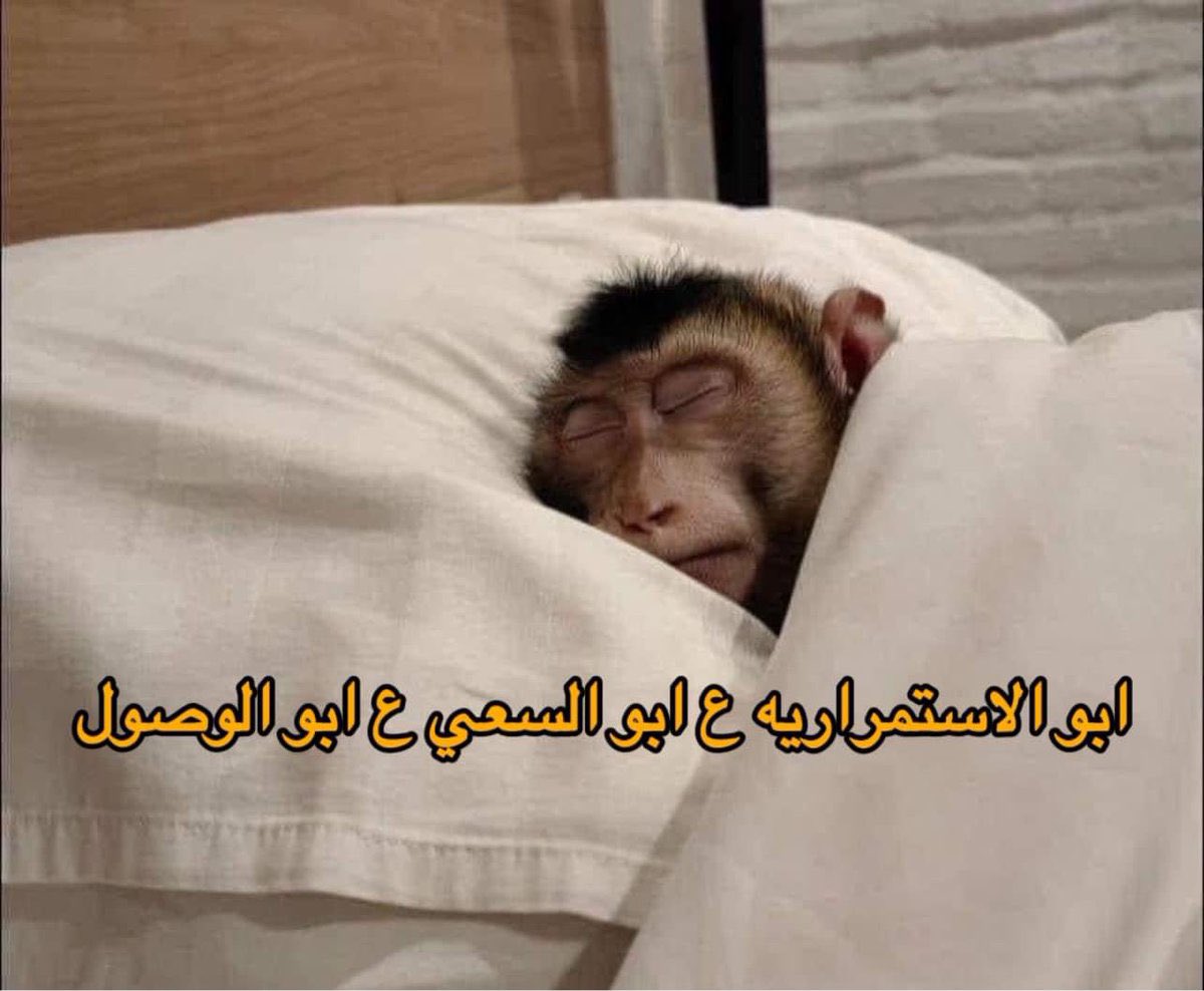 لماذا نحن هنا ؟ (@saudidadjokes) on Twitter photo 