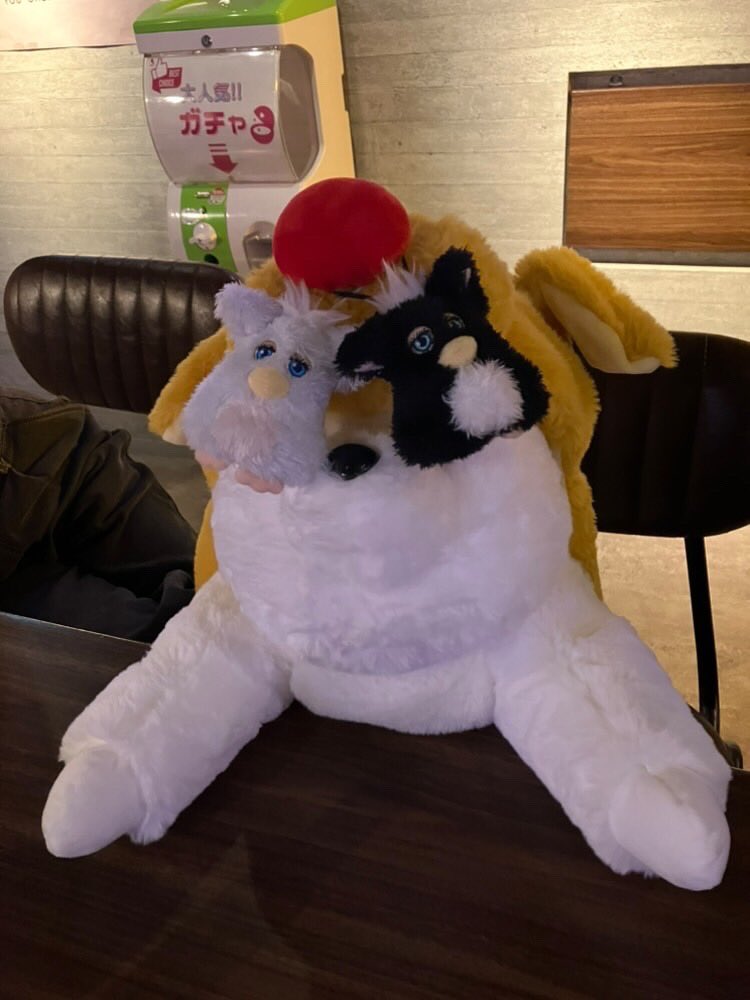 こんにちは！！昨日は何故かぬいぐるみが大集合して皆で子供の頃を