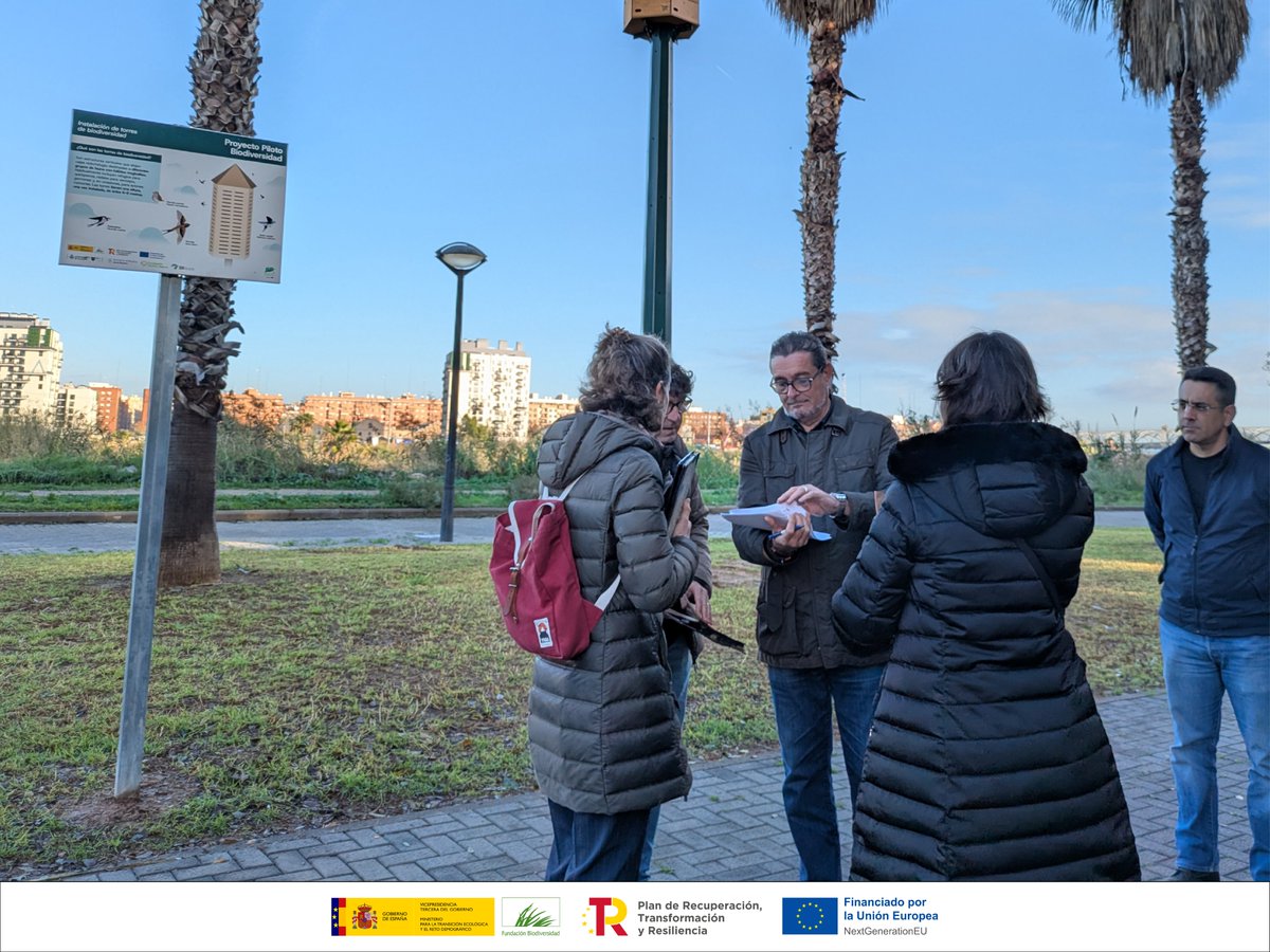 València Verda tweet media