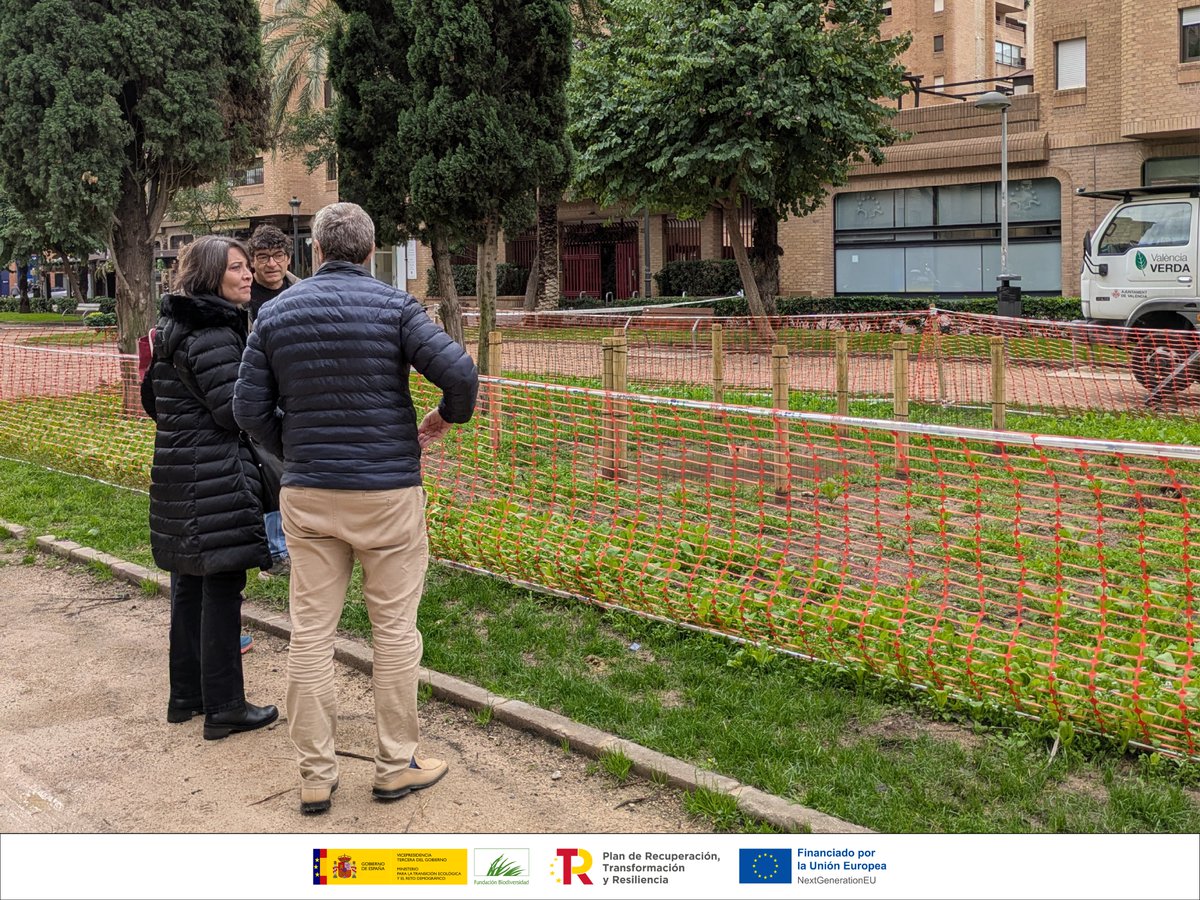 València Verda tweet media