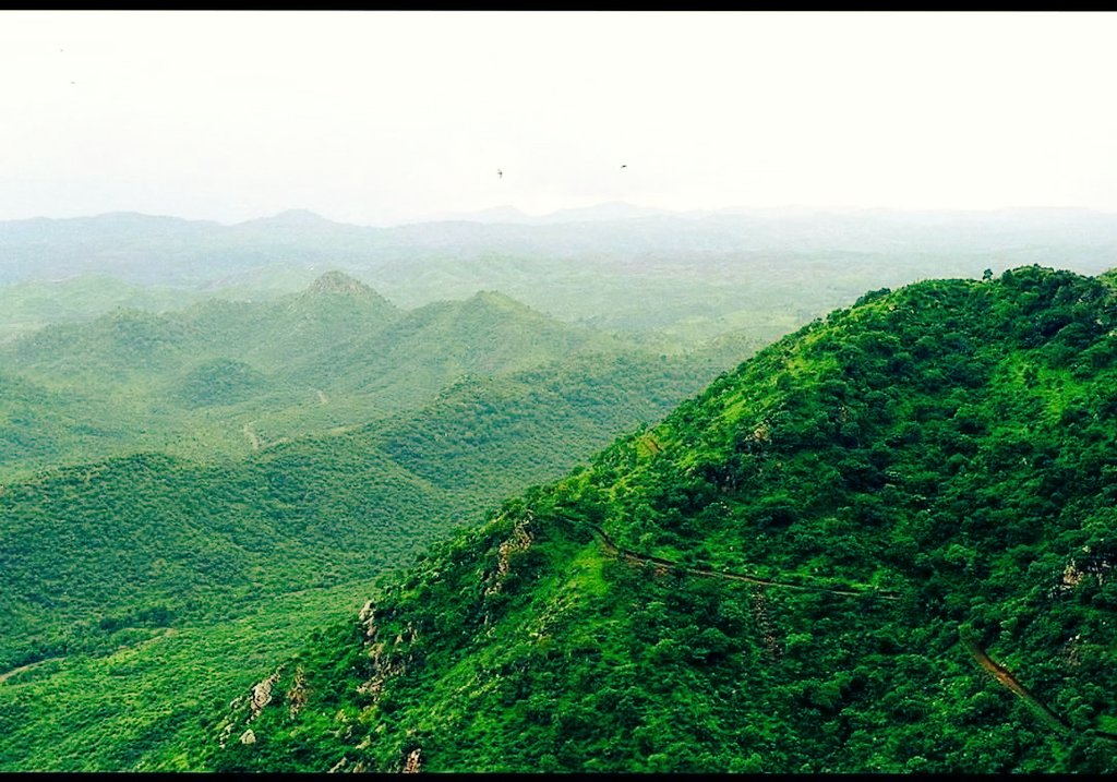 KoyiguriKumar's tweet photo. If we don't raise our voice today, we won't ever again. Perhaps our beloved Aravali Hills will no longer exist.

#savearavali #SaveAravaliHills
#savearavlirange https://t.co/UzEr9yAoa0