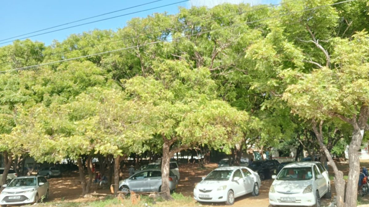 Mvera Kazungu tweet media