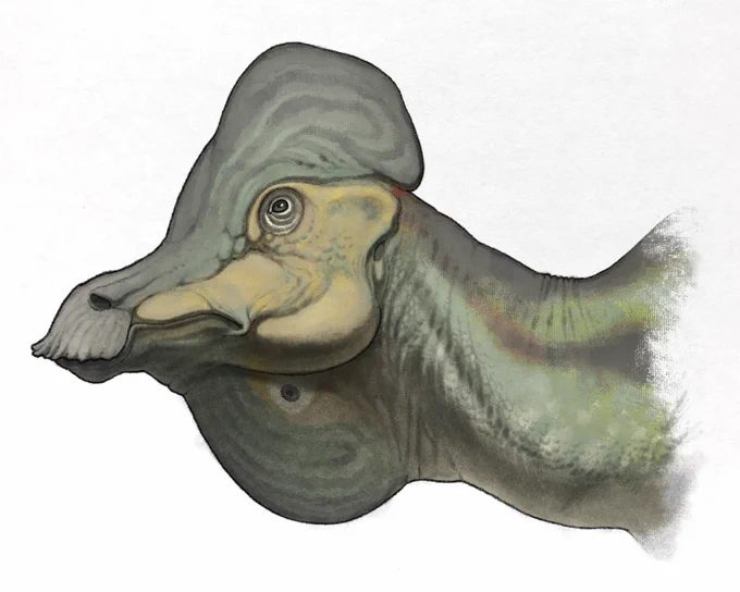 コリトサウルス