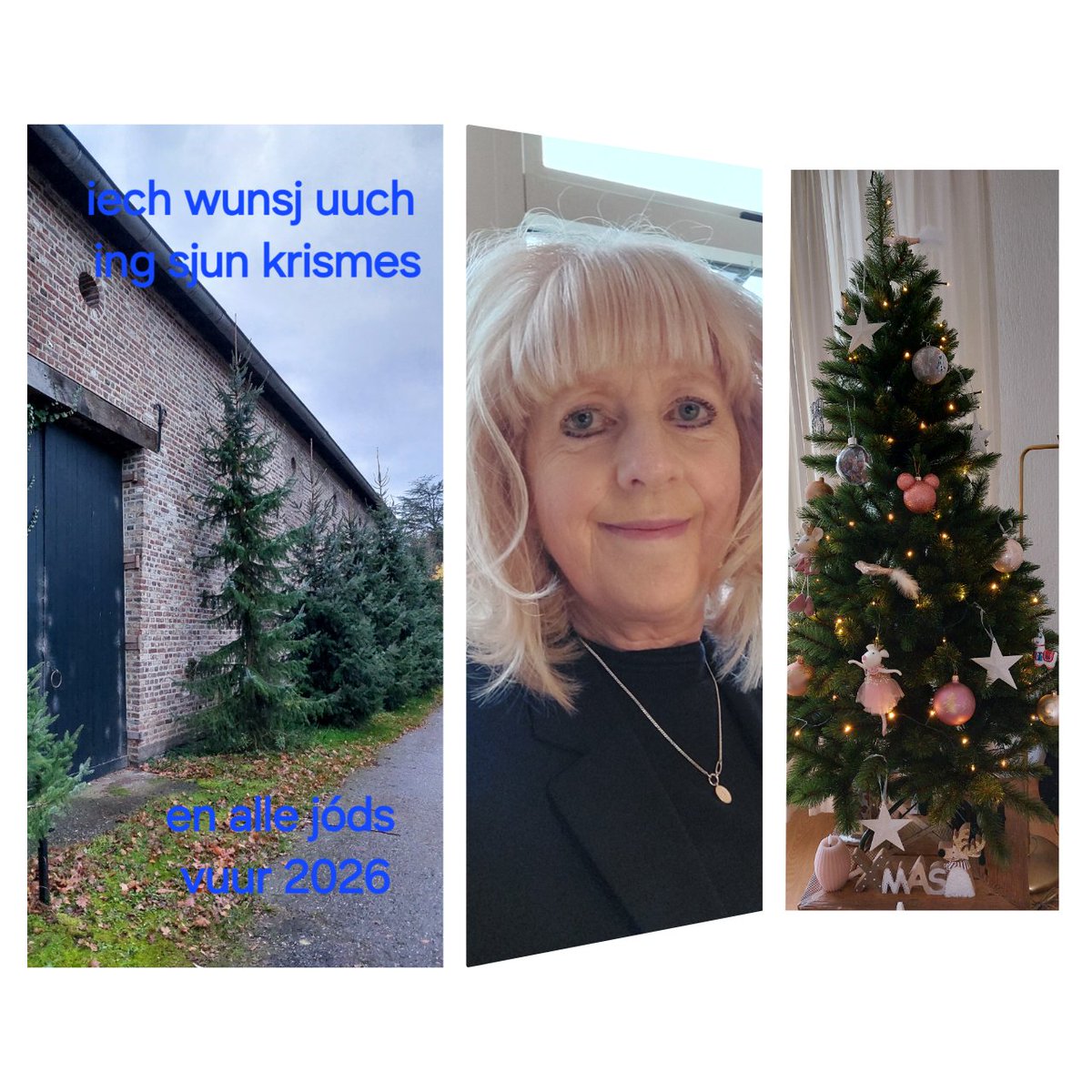 mathildeontwit's tweet image. Voor iedereen héél fijne kerstdagen en alle goeds voor het nieuwe jaar 2026 🌲🥂🍀😘