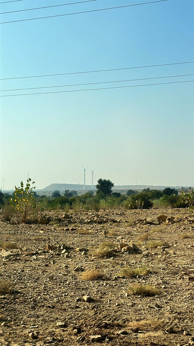 इनकॉग्निटो सिंह tweet media