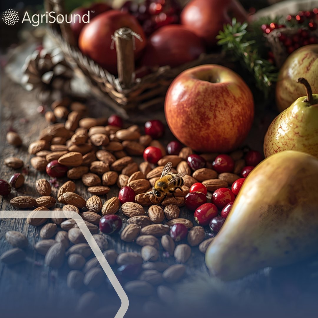 AgriSoundTech's tweet image. 🎅Christmas foods that depend on pollinators:
🍪 Almonds in cookies
🍎 Apples &amp;amp; pears for pies
🍯 Honey for sweet treats
🎄 Cranberries for sauce
Polly™ keeps tracking pollinators, making every bite possible. 🐝
#AgriSound #Pollinators #Christmas #Biodiversity