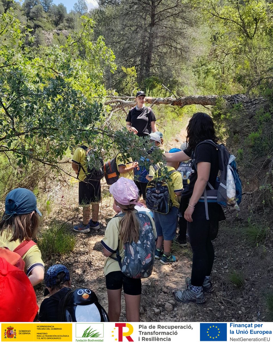 Ipcena-EdC tweet media