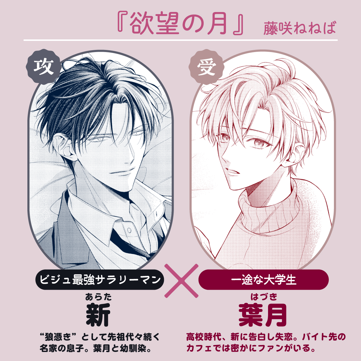 欲望の月　藤咲ねねば　アニメイトリーフレット付き 81lszGIvcjL.jpg_BO30,255,255,