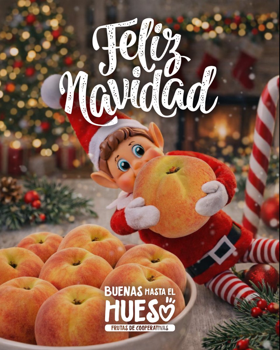 🎄✨ Desde Buenas Hasta el Hueso os deseamos unas Felices Fiestas.

Que estas Navidades estén llenas de momentos compartidos, sabores auténticos y pequeños placeres que nacen del campo.

Gracias por elegir fruta de cooperativas y por seguir apostando por lo bueno de verdad 💛
