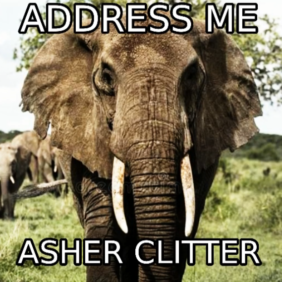 clitexts's tweet photo. other elephants will be revealed when they have to address something dw about it https://t.co/jrAFSznEmA