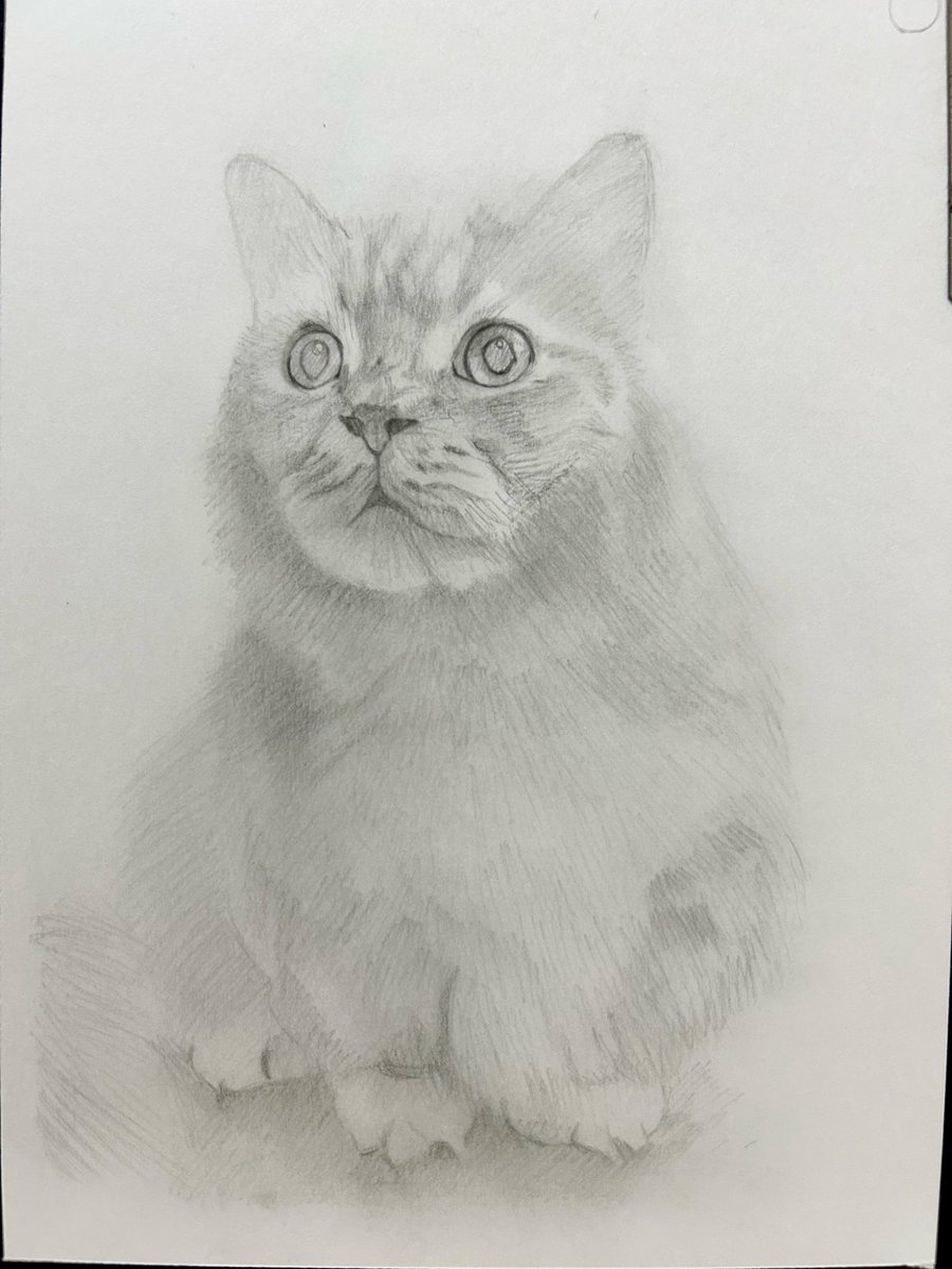 西方 由美 (@tarakuro510) / Posts / X