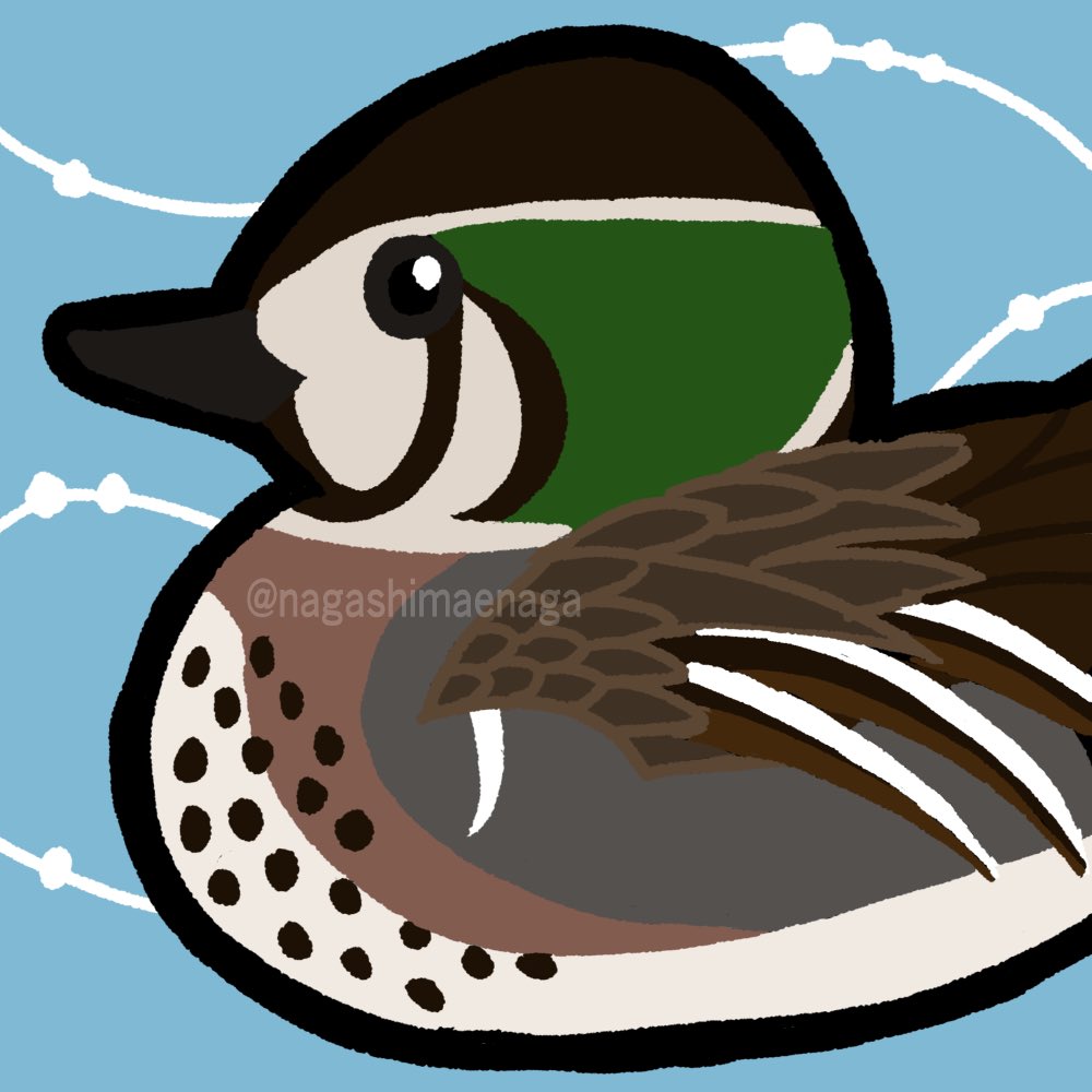 アドベン鳥カレンダー（アドベントカレンダー夜の部）2025 【カモかも