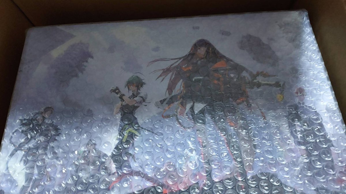 ブシロードさん？
なんで二個目送ってきたんですか？
私出したの1枚なんですけど…