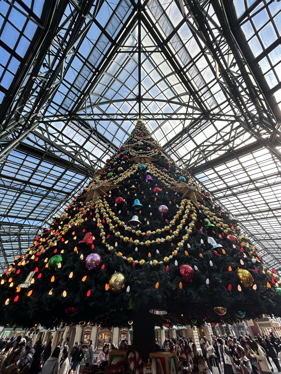 kamakura358's tweet photo. 明日はクリスマスイブ🎄🧑‍🎄🎅
すべての人に幸せな時間が訪れますように✨🌌
#ディズニーランド https://t.co/JTYmMJGsyv