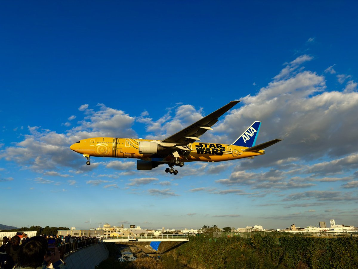 JL_ITM001's tweet photo. B777就��30周年おめでとうございます！
#B777 #ANA #飛行機　#飛行機好き　#伊丹空港 https://t.co/lVbMMYSCk5