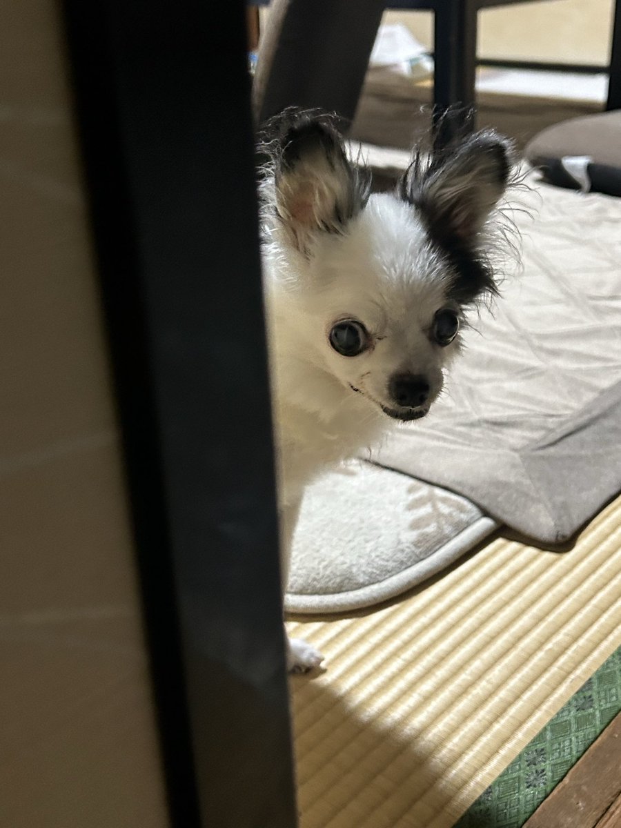 影からのその顔やめて笑🤣