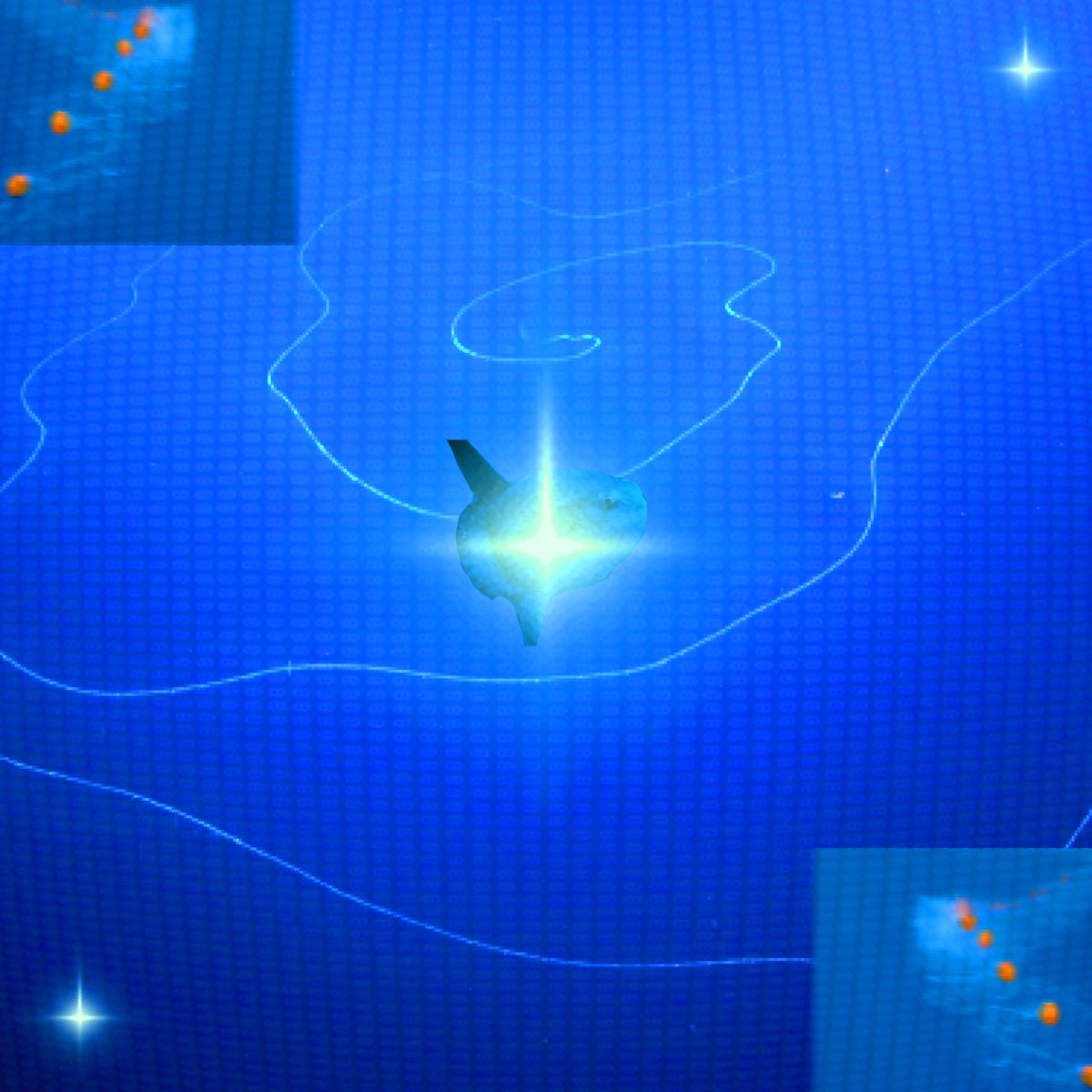 vmrrobotic (OBSERVATORY OUT NOW) tweet media