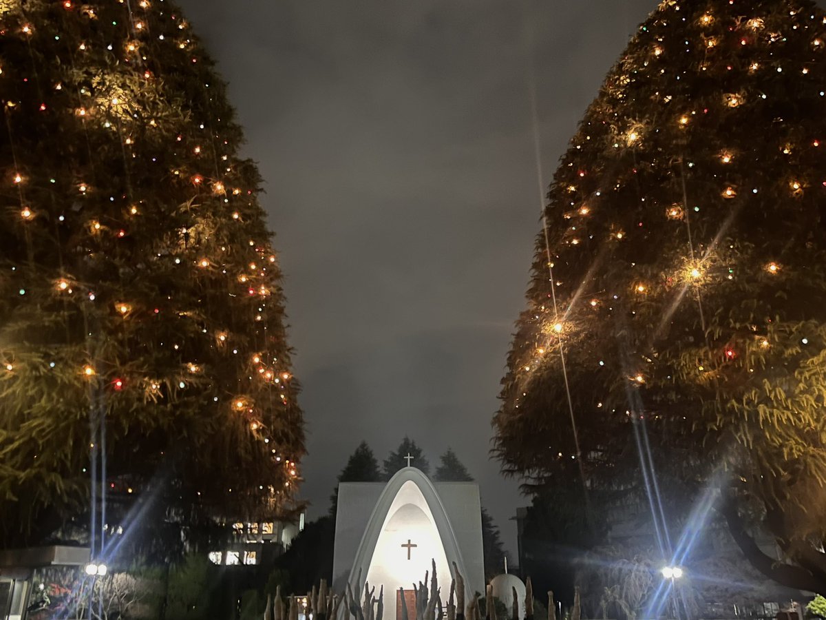 NIWA Nobuko tweet media