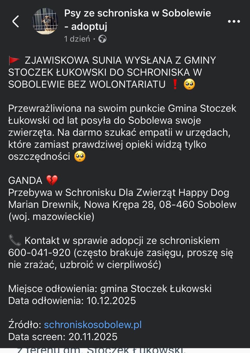🚩 ZJAWISKOWA SUNIA WYSŁANA Z GMINY STOCZEK ŁUKOWSKI DO SCHRONISKA W SOBOLEWIE BEZ WOLONTARIATU ❗️🥺
Gmina Stoczek Łukowski od lat posyła do Sobolewa swoje zwierzęta.
GANDA 💔
Kontakt w sprawie adopcji ze schroniskiem 600-041-920