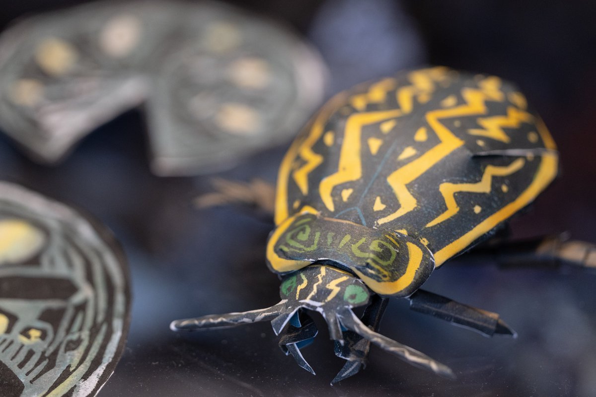 我が家の番犬ケンゴロウ ゲンゴロウ