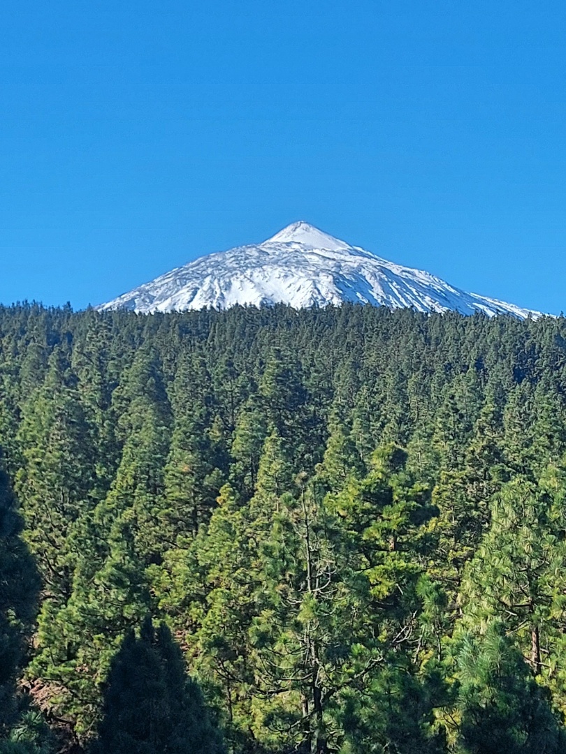 🔵
⚪
🟢

📷 La morada de Guayota