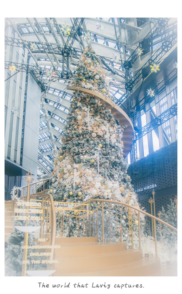 クリスマスイルミネーションがXで輝く冬の風物詩