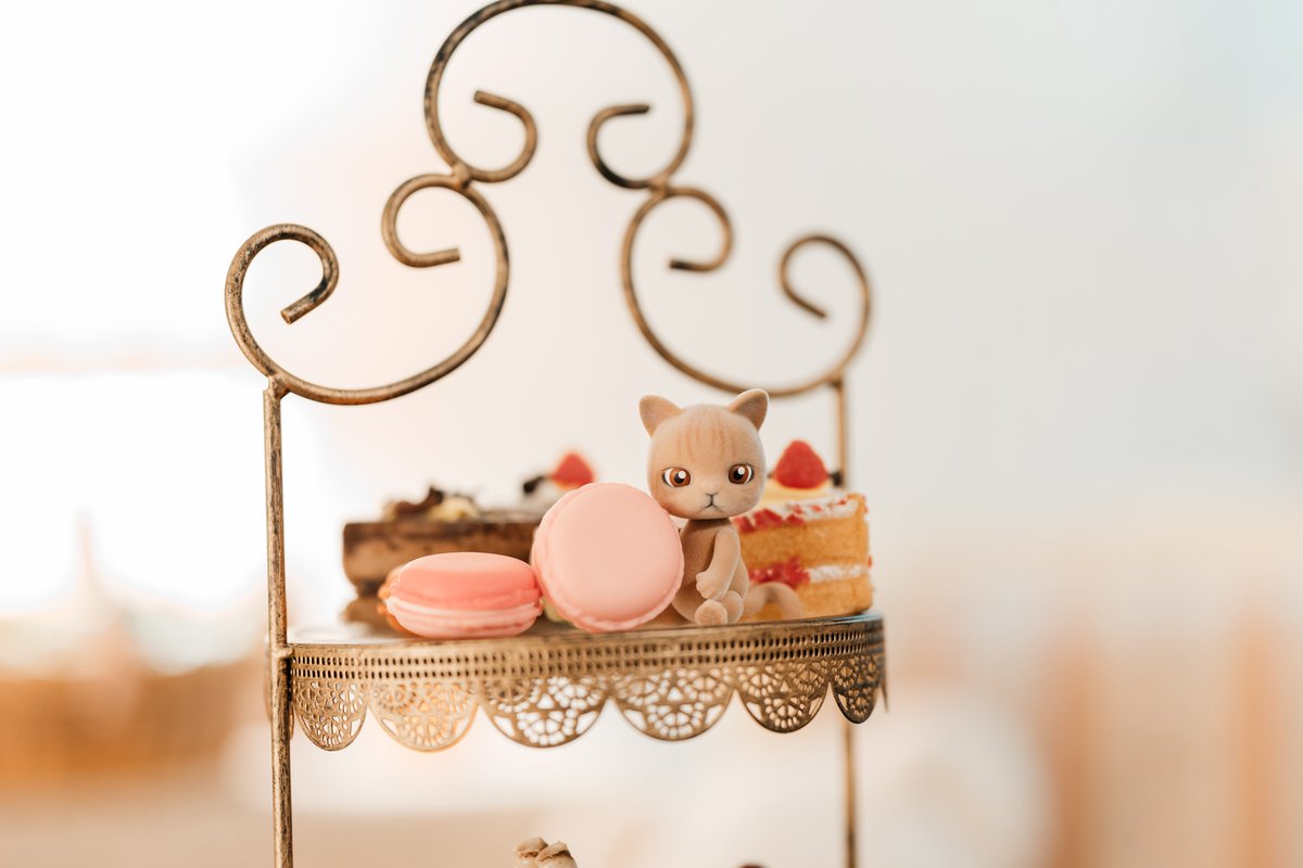 CAPSULE DOLL(カプセルドール) tweet media