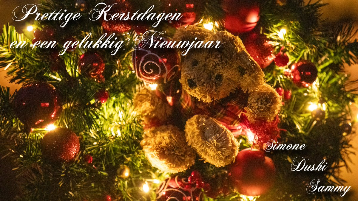 Voor iedereen hele fijne feestdagen 😘 #kerst #Hellevoetsluis <a href="/EilandVoorne/">voorne aan zee</a> <a href="/KikiBo21937/">Monique Bormans</a> <a href="/johan_klos/">Johan Klos</a> <a href="/BasMunne/">BasMunne</a> <a href="/MRTfotografie/">Marianne Rouwendal🌿</a> <a href="/WNLVandaag/">WNL Vandaag</a> <a href="/EdAldus/">Ed Aldus</a> <a href="/BuienRadarNL/">Buienradar</a> <a href="/janvissersweer/">JAN VISSER</a> <a href="/weerverteller/">Weerverteller.nl</a> @weerplaza <a href="/HartvNL/">Hart van Nederland</a>